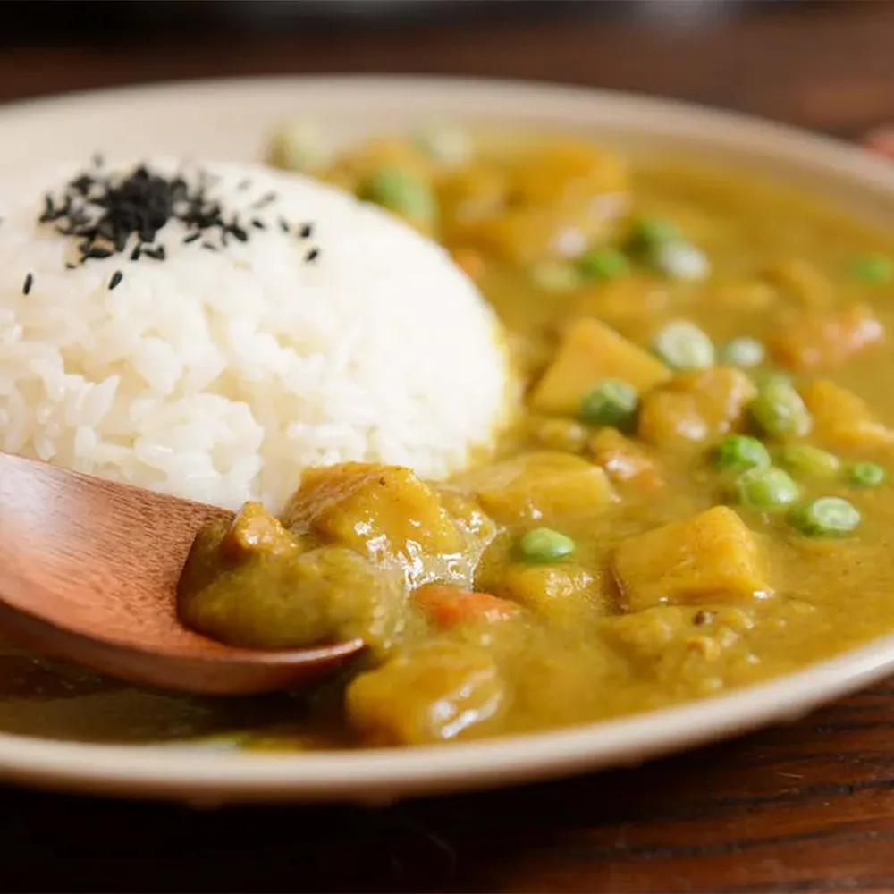 Curry Rice at Wok Wok Malaysian Cuisine Restaurant, Malaysian Restaurant in New York
